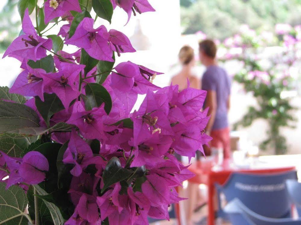 Cosmos Grand Hostal Sant Francesc de s'Estany 외부 사진